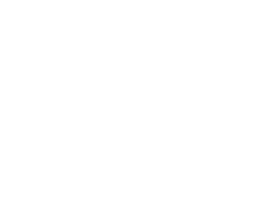 Bullhorn